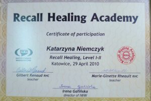 Jing Katarzyna Niemczyk dyplom1