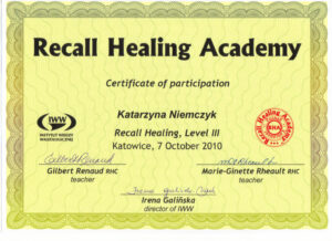 Jing Katarzyna Niemczyk dyplom2