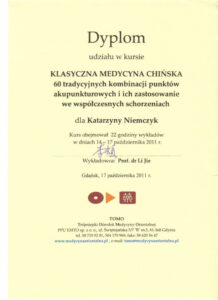 Jing Katarzyna Niemczyk dyplom8