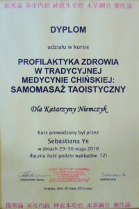 Jing Katarzyna Niemczyk dyplom9